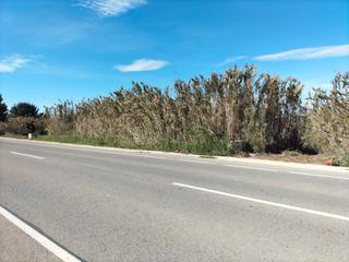 Rural plot in Algorós - El Derramador. Tierra rustica en termino elche
