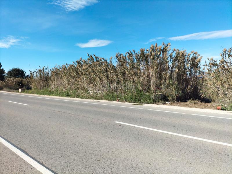 Foto 39997fd6-49f9-4020-bbc9-15803d178a68. Fondo rustico in Algorós - El Derramador Elche / Elx