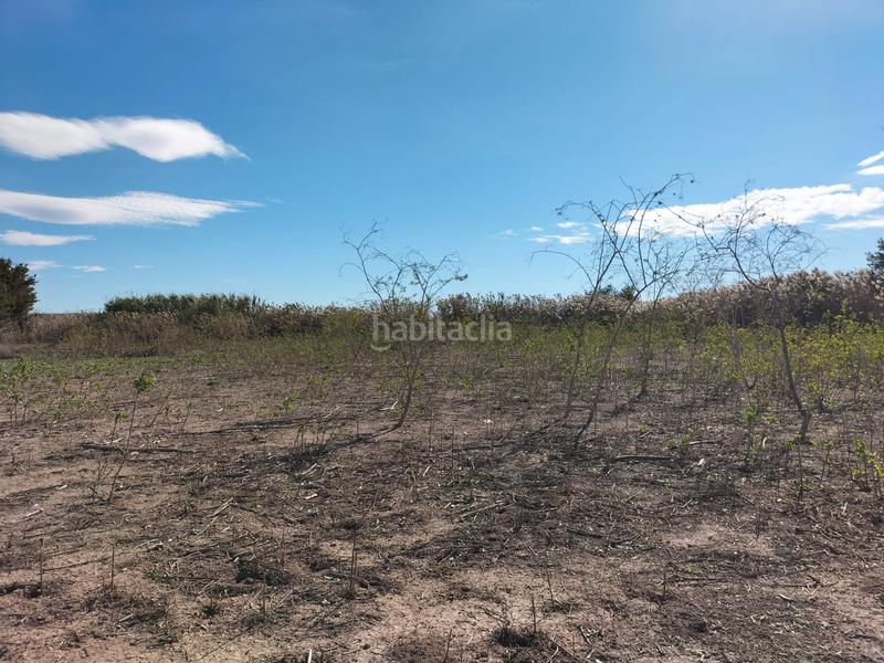 Foto 5dc66136-ae9d-475d-ae40-55b8614311d5. Fondo rustico in Algorós - El Derramador Elche / Elx