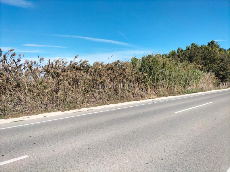 Foto c5833e4e-2e7e-4317-8fb4-06c7596a99e6. Fondo rustico in Algorós - El Derramador Elche / Elx