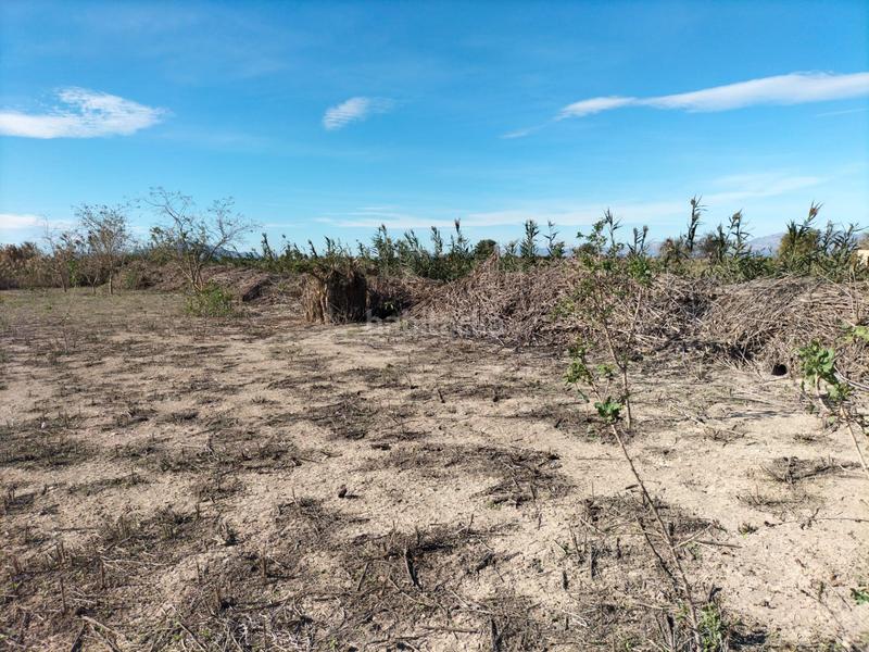 Foto ce703983-8fcd-4079-8e89-c040716e27f6. Fondo rustico in Algorós - El Derramador Elche / Elx