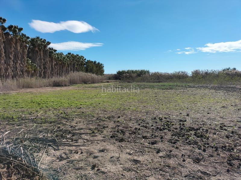 Foto ef30ad40-9bf8-4202-9ce2-73ebf3ebfe3f. Fondo rustico in Algorós - El Derramador Elche / Elx