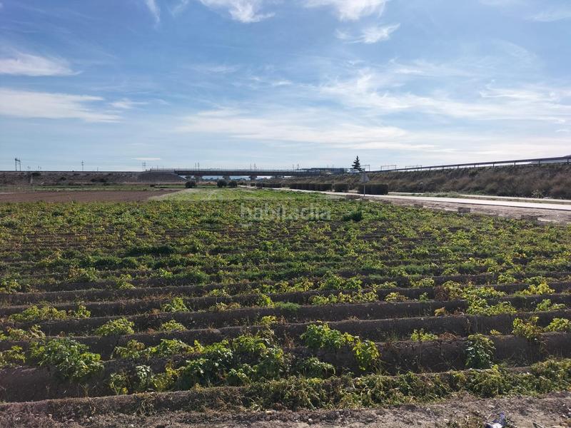 Foto c669b81c-9fd0-4712-b9c2-3ddd708c4abd. Finca rústica terreno rustico en huerta en Cox