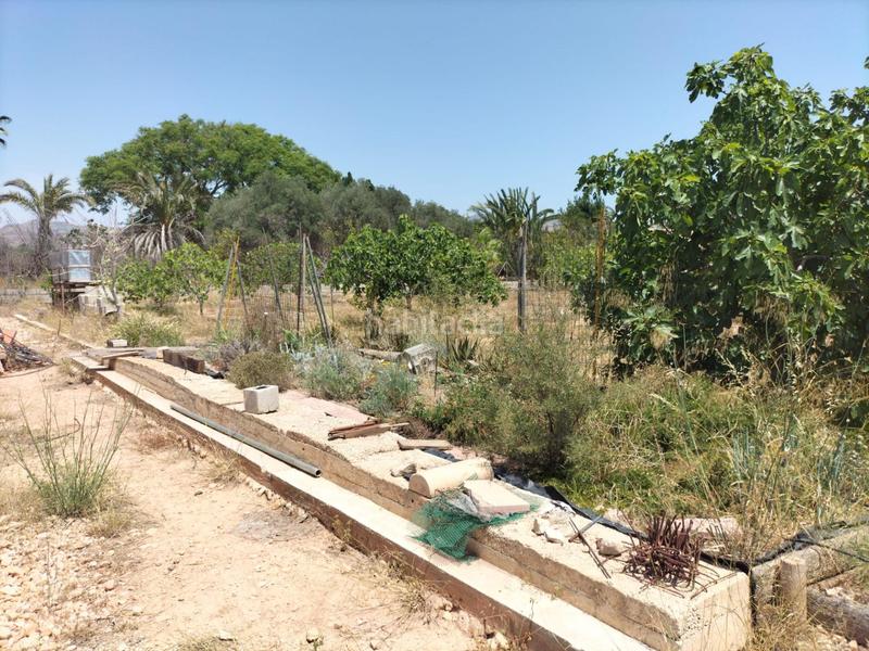 Foto b3584652-c61d-4bba-a490-7f01d856bbf8. Rural plot in La Murada - Los Vicentes Orihuela