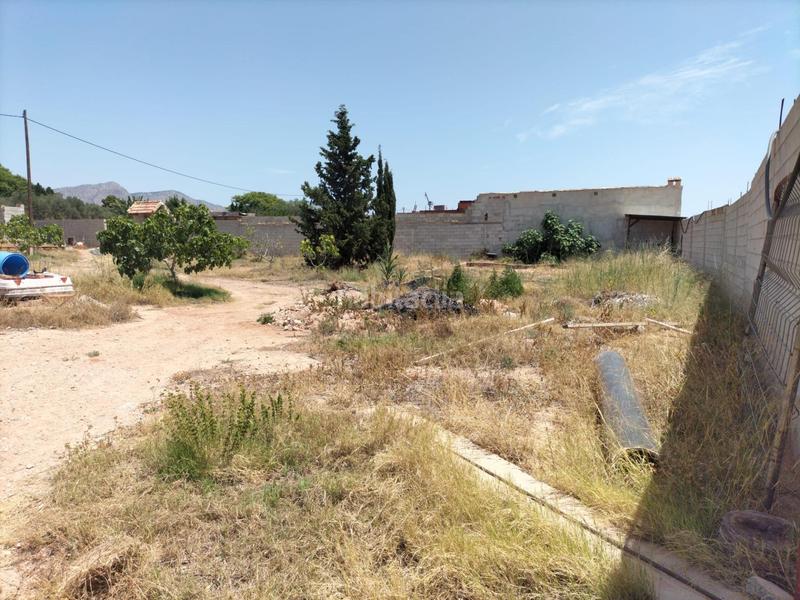 Foto b721f5f6-bef9-41ea-b494-57e184a80d0f. Rural plot in La Murada - Los Vicentes Orihuela