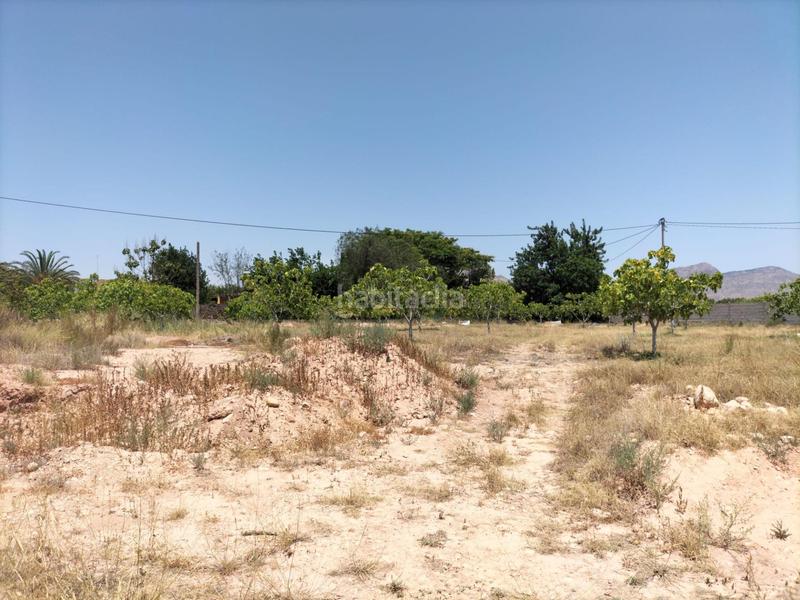 Foto cd2eae32-6f25-4426-9bae-c029e43cd60a. Rural plot in La Murada - Los Vicentes Orihuela