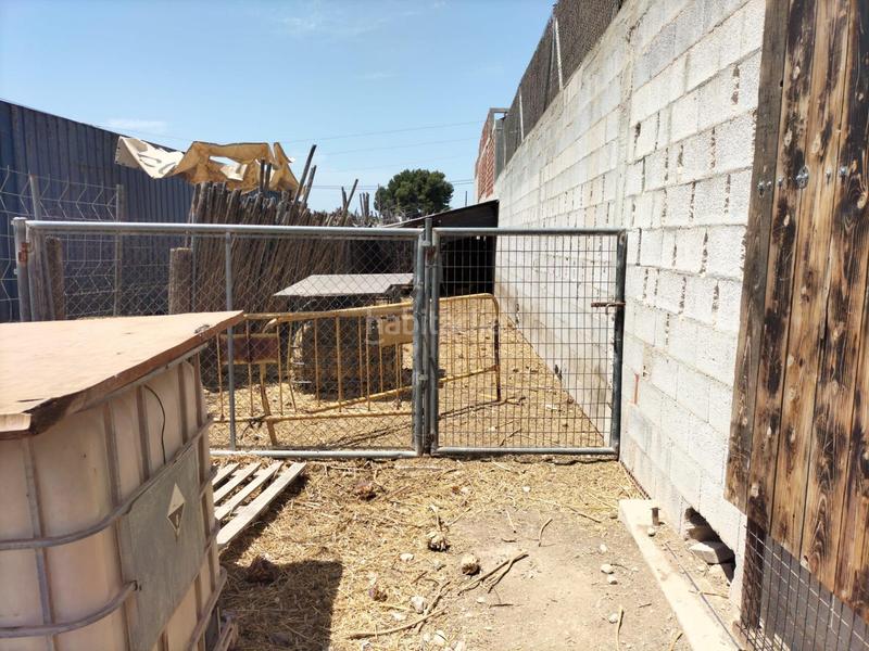 Foto cfcee32a-68ac-4dbe-90f5-41a72823efaa. Rural plot in La Murada - Los Vicentes Orihuela