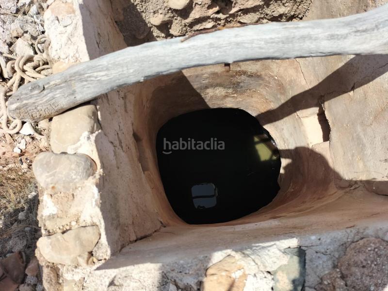 Foto d07f8ed2-7dc3-4005-b00a-2f399e5dde12. Rural plot in La Murada - Los Vicentes Orihuela