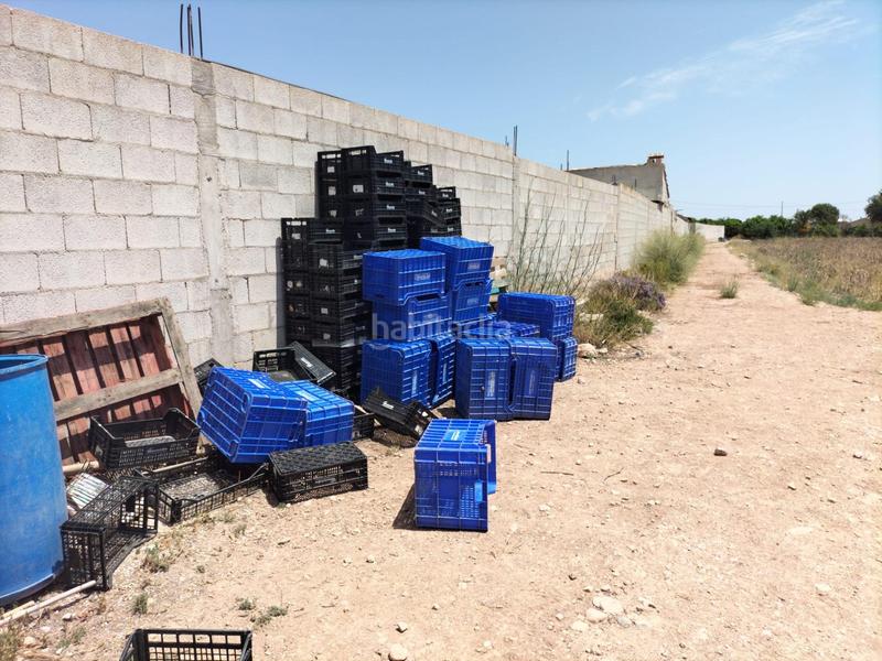 Foto e62c6812-3e32-42ed-8a68-387c258df69e. Rural plot in La Murada - Los Vicentes Orihuela