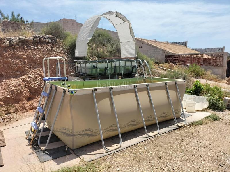 Foto fe04aad7-75a2-4c14-8661-1ee0d5141685. Rural plot in La Murada - Los Vicentes Orihuela