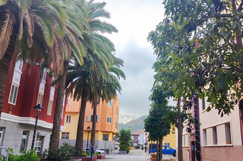 Foto e93f21e4-32db-4b41-b6ae-d95d528f68c5. Pis a Valsequillo de Gran Canaria