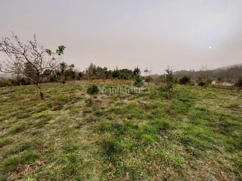Foto f946e595-96da-428d-b33b-5da928a9674c. Terreno residencial en Pobra do Caramiñal (A)