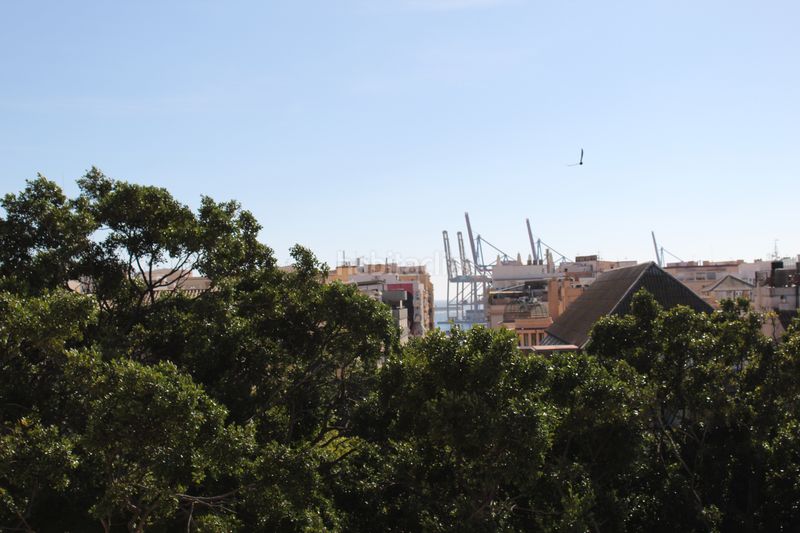 Foto 0aae7c7e-4c31-4362-9f18-81953cb36430. Pis a alameda principal 22 a Centro Histórico Málaga