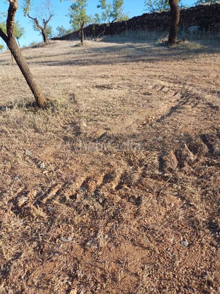Foto 0ee4a562-718a-448b-ac39-d5d40d5b9a72. Finca rústica a Nigüelas