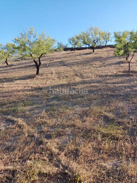 Foto 56b7d1b0-00e3-498f-a566-49548e8b2e83. Finca rústica a Nigüelas