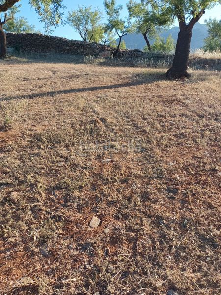 Foto 8b954955-68a8-42ad-a0ef-001e4fe96e1b. Finca rústica a Nigüelas