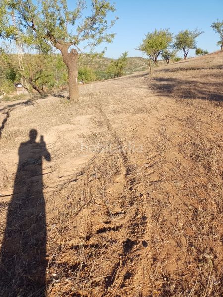Foto 9819c71a-511a-4b78-9107-422f9e164b84. Finca rústica a Nigüelas