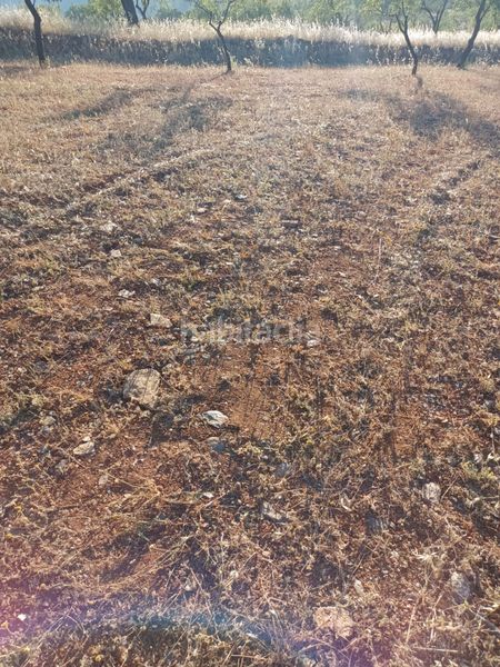 Foto 98debf65-a6ee-4d8d-a4b9-208956631ab6. Finca rústica a Nigüelas