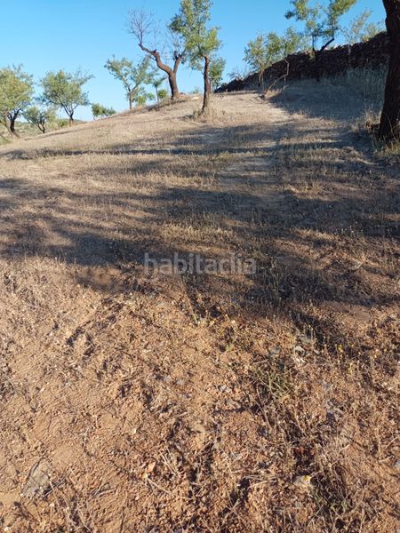 Foto a21de77d-2cfd-4039-bb6d-ace8b55b9c9c. Finca rústica a Nigüelas
