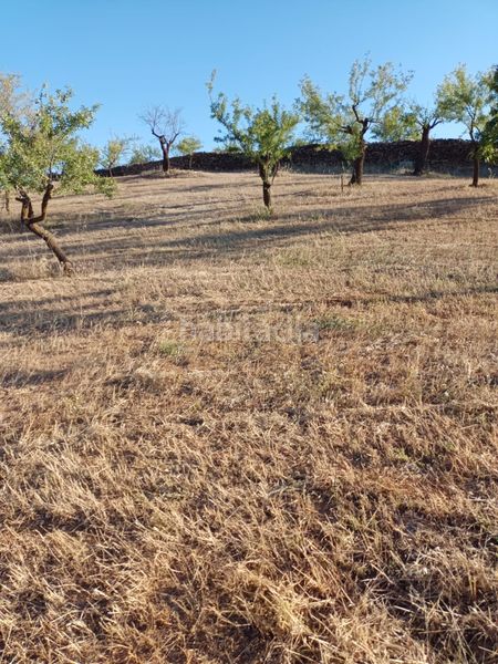 Foto e7e9e425-9776-49f5-ab0c-314d22784ff0. Finca rústica a Nigüelas