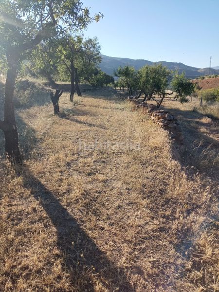 Foto efe4d0b0-87c8-4859-b22a-254af05b0870. Finca rústica a Nigüelas
