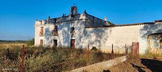 Finca rústica en Arroyo de San Serván. Gran finca de riego de canal, con un palacete para resturar