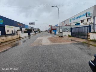Bâtiment à usage industriel à Polígono industrial las harninas 2. Gran nave en oferta precio supervajo