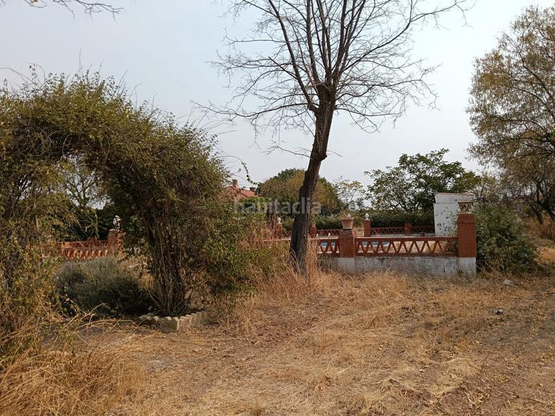 Foto 97b58a3b-3482-451e-ae72-ac5b626861a0. Chalet en calle badajoz 57 ?? chalet con 4.000 m² y piscina en los cuartos del medio ¡gran oportunidad! en Almendralejo