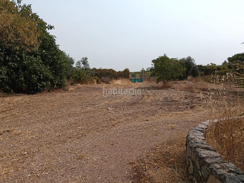 Foto d61591b4-fc21-44a0-a023-6210c809de47. Chalet en calle badajoz 57 ?? chalet con 4.000 m² y piscina en los cuartos del medio ¡gran oportunidad! en Almendralejo