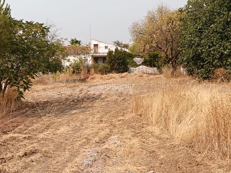Foto ef167c9d-cfe8-4a0c-a83f-40e531998a5a. Chalet en calle badajoz 57 ?? chalet con 4.000 m² y piscina en los cuartos del medio ¡gran oportunidad! en Almendralejo
