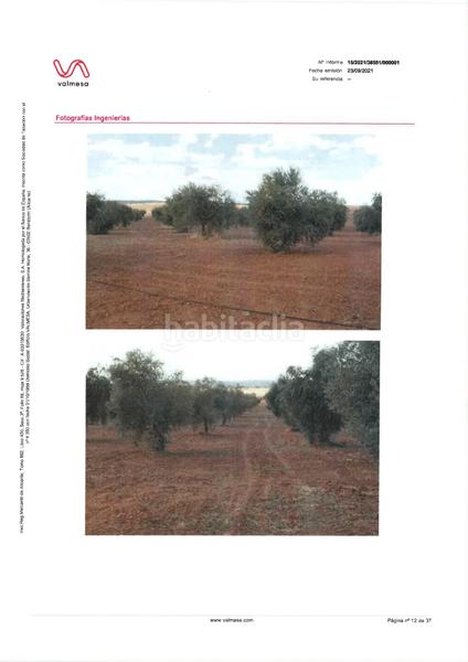 Foto 46908a52-bc52-4f5d-82a6-5080bb6ba37c. Fondo rustico in n/a in pedanías de Badajoz Badajoz