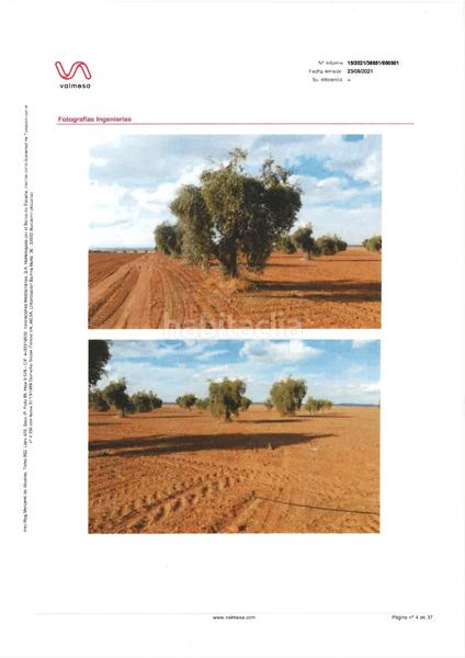 Foto a82ac0b4-fe95-4726-9e4e-357637c44278. Fondo rustico in n/a in pedanías de Badajoz Badajoz