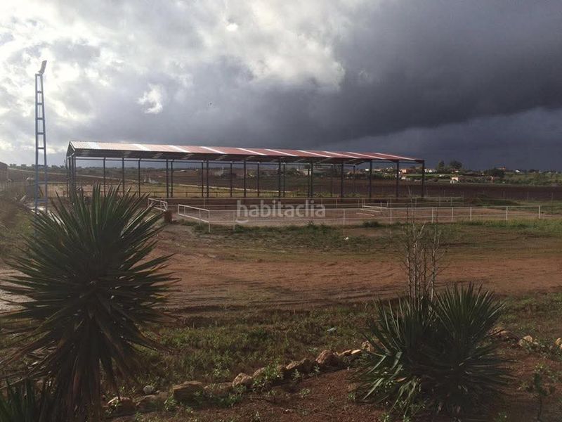 Foto cf3a9ca7-a9ed-4fd6-a5ce-9a5e9b339d5c. Area edificabile industriale in vereda aceuchal 10 in Almendralejo