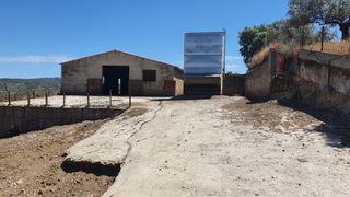 Nau industrial a Calle salvatierra 8. Gran finca de cochito para 750 cebo campo