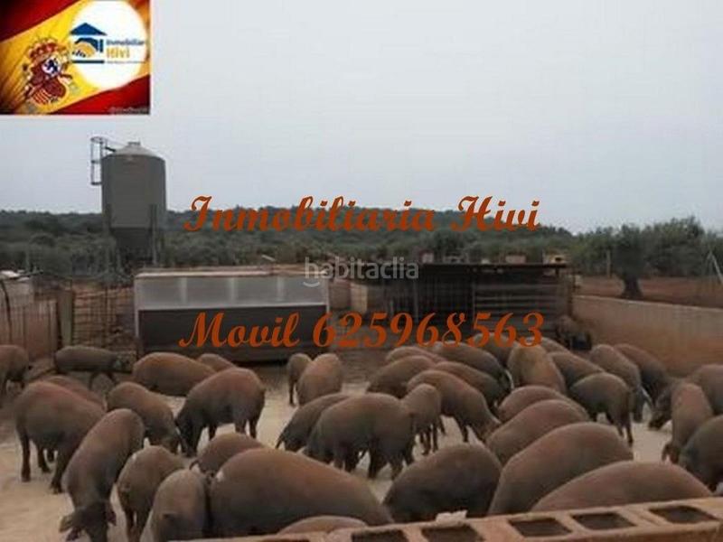 Foto de8f7010-ca11-4430-b893-bd8ec52d0062. Edifici a Almendral