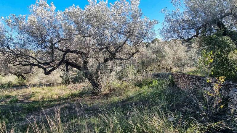 Foto 1dc76a51-8904-4c24-8e42-b0297410be4b. Masia amb aparcament piscina a Perelló (El)