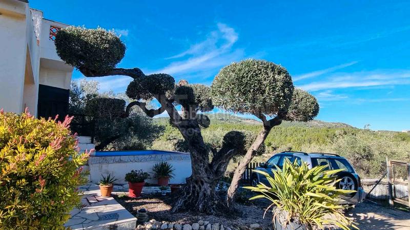 Foto 2dad401e-c88b-4e0d-8dd2-b4e517e0e53d. Masia amb aparcament piscina a Perelló (El)