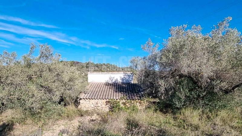 Foto 3a106582-5a28-4b8e-97ae-61a7d0431f67. Masia amb aparcament piscina a Perelló (El)