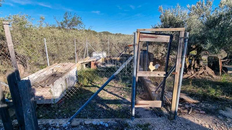 Foto 43703abd-1e9a-4226-a664-cb516c6a8fc1. Masia amb aparcament piscina a Perelló (El)