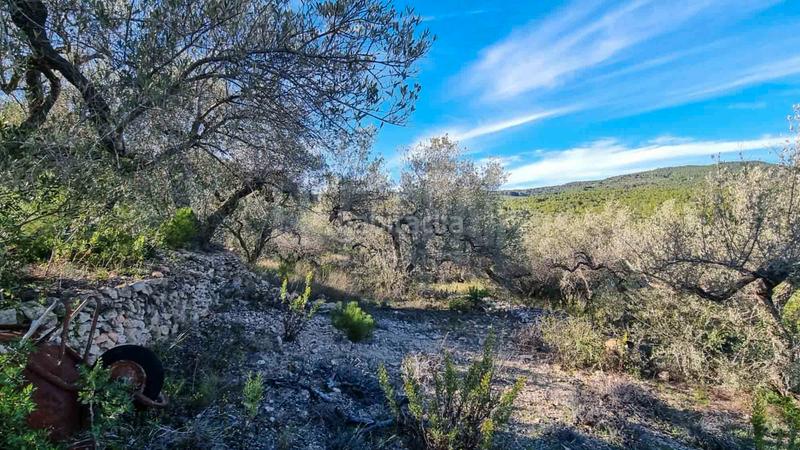 Foto 4dd00709-eed2-4a53-85cd-ffe1aca4cc49. Masia amb aparcament piscina a Perelló (El)