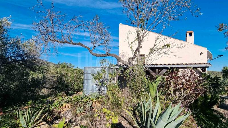 Foto 598b71e8-bff2-42bf-9394-35d479d71a37. Masia amb aparcament piscina a Perelló (El)