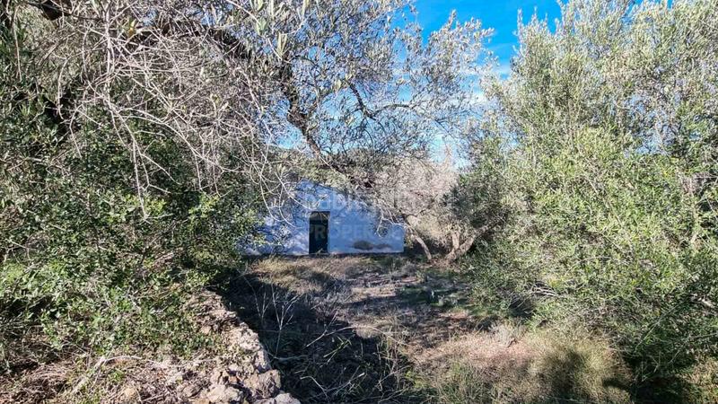 Foto 5c4bb4e9-2e1a-48bb-a194-480870abe939. Masia amb aparcament piscina a Perelló (El)