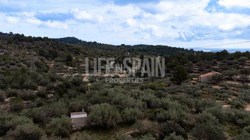 Foto 732cf211-0c43-449e-aacf-4dc5d9cff589. Masia amb aparcament piscina a Perelló (El)