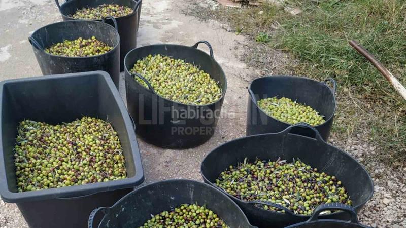 Foto 7dd3a5f7-a2e9-429c-872f-ecce0a77247f. Masia amb aparcament piscina a Perelló (El)