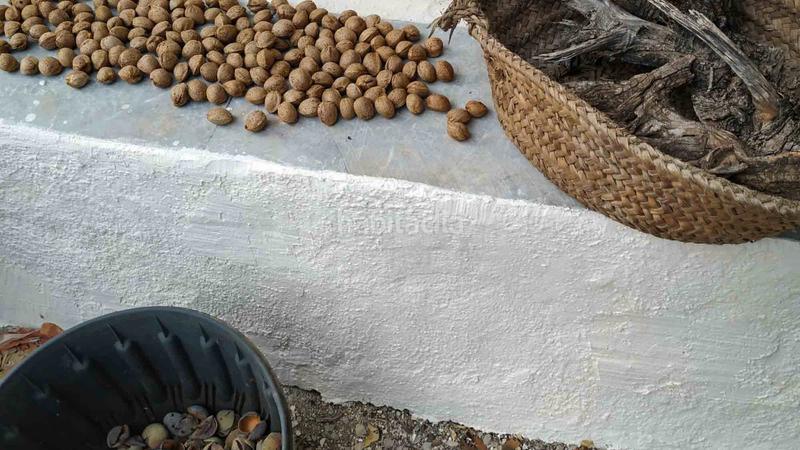 Foto 84d03159-89df-44be-a6cf-142161f9eab8. Masia amb aparcament piscina a Perelló (El)