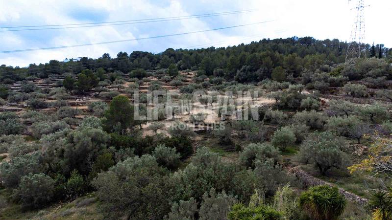 Foto d1be07a0-dc1a-40ae-93b8-407554ac59c0. Masia amb aparcament piscina a Perelló (El)