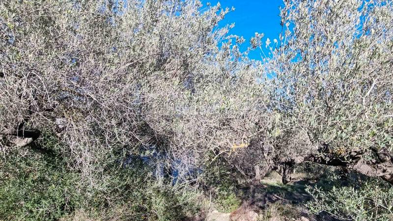 Foto d430fa03-ccef-4468-b03a-db53a0da53eb. Masia amb aparcament piscina a Perelló (El)
