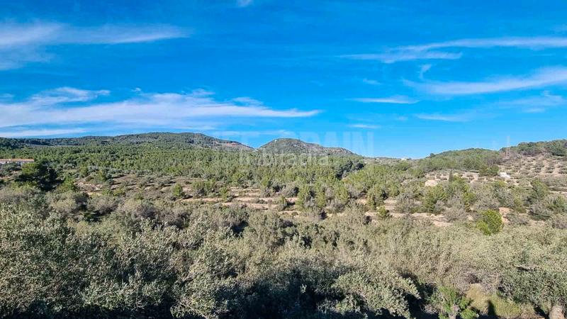 Foto dc86758e-af78-4244-8bab-acacc349cdb7. Masia amb aparcament piscina a Perelló (El)