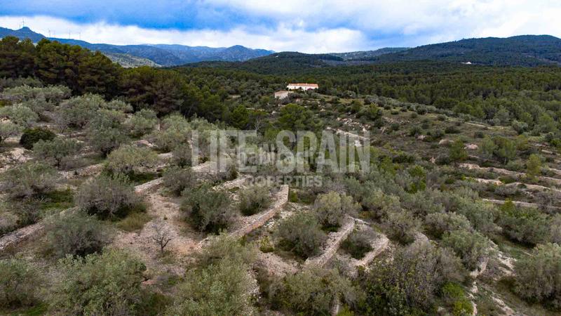Foto fbd801d1-52a0-4147-823f-d08e55aafe81. Masia amb aparcament piscina a Perelló (El)