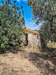 Masia a Roquetes. Finca rustica con olivos para reformar